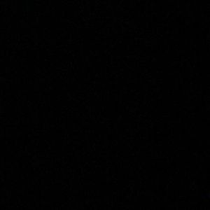 Meet your Posher, Bianca